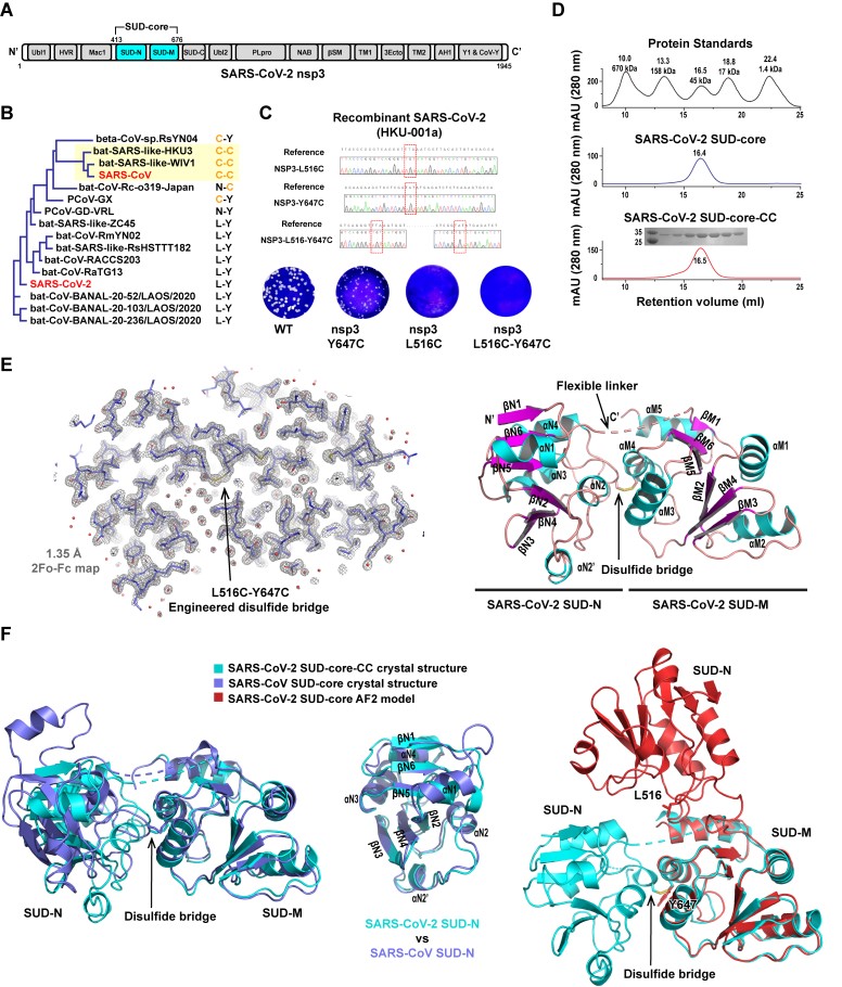 b8cd263e2d1740699630abda02b5e0d2.jpg 创新工程进展快报第228期-病原所-崔胜.jpg