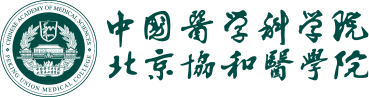 2026世界杯官网